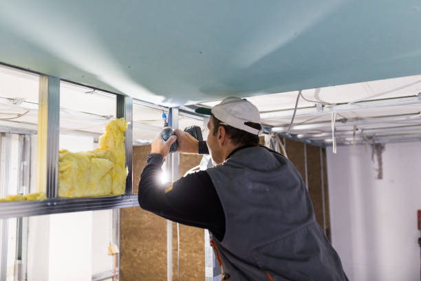 Best Commercial Insulation in Hartford, KY